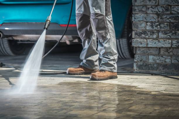 Best Sidewalk and Walkway Cleaning  in Minden, LA